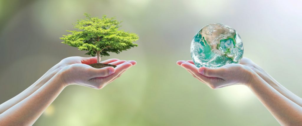 Finanzas sostenibles y ESG: cómo invertir con impacto sin sacrificar rentabilidad